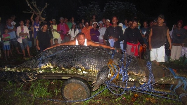 HUNTED DOWN. This file photo taken on September 4, 2011 shows villagers looking at the 21-foot (6.4 meter) saltwater crocodile caught in the town of Bunawan, Agusan del Sur. AFP PHOTO