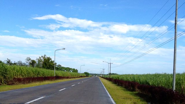 SUGARCANES PAVE THE WAY to Silay from the airport