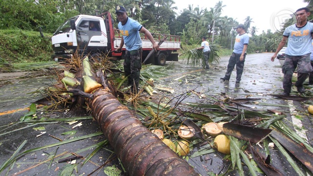 TRAIL OF DESTRUCTION. 'Pablo' made landfall in Davao Oriental and swept through Mindanao and the Visayas leaving a trail of debris and lost lives. Photo by Karlos Manlupig
