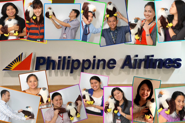 Proceeds from the sale of the Philippine Eagle toys will help save it from extinction