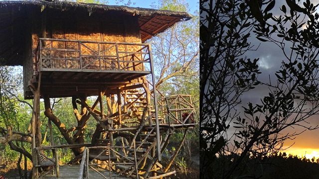 (Left) ONE OF THE TREEHOUSES. (Right) Sunrise as seen from a treehouse.