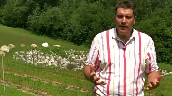 PASCAL MICHE AT HIS 'vineyard.' Screen grab from YouTube (AFP)