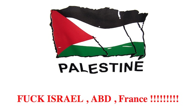 HACKED. Screenshot of a Palestinian flag on the website attacked by hackers