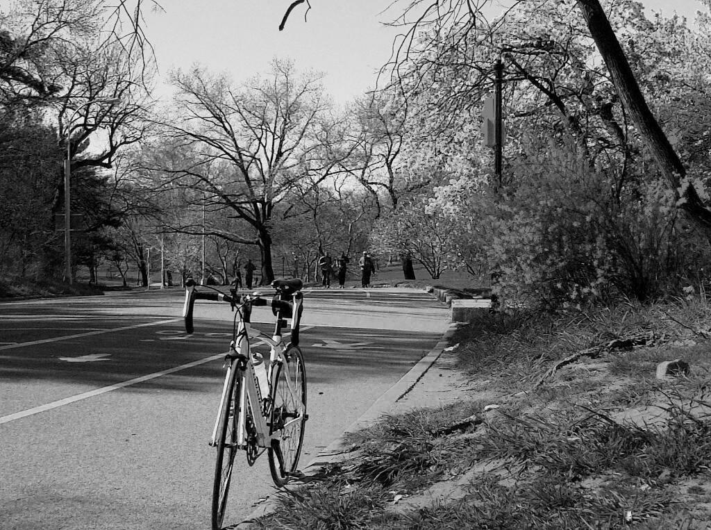 BICYCLE. The author’s bicycle on top of the hill at Prospect Park, where she met the subject of this story. Photo by Shakira Sison
