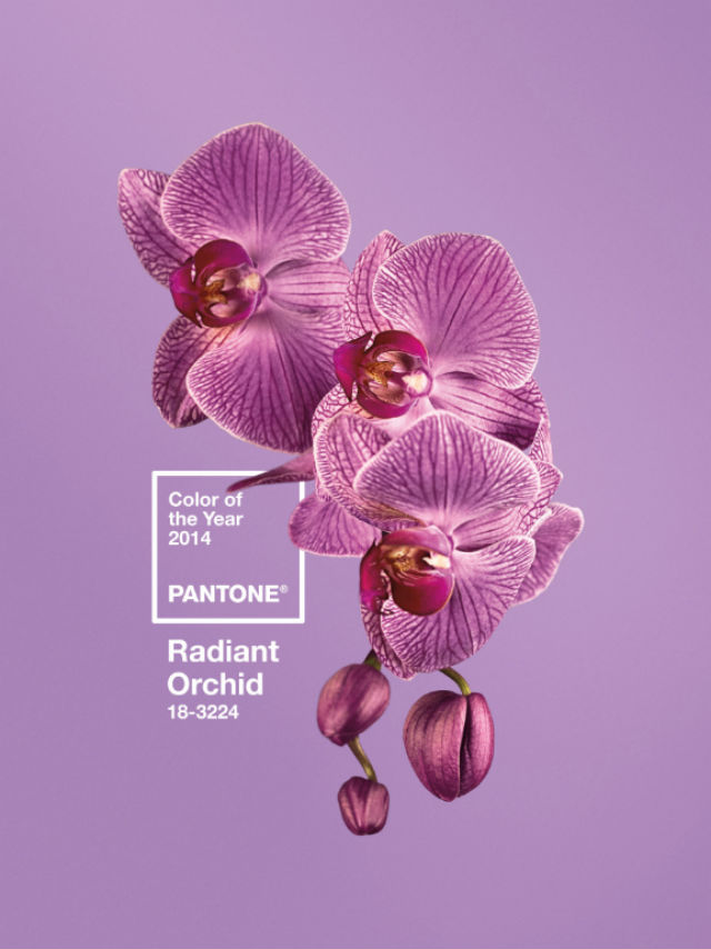 SWATCH. Pantone says the color "inspires confidence and emanates great joy, love and health." Photo from Pantone's website.