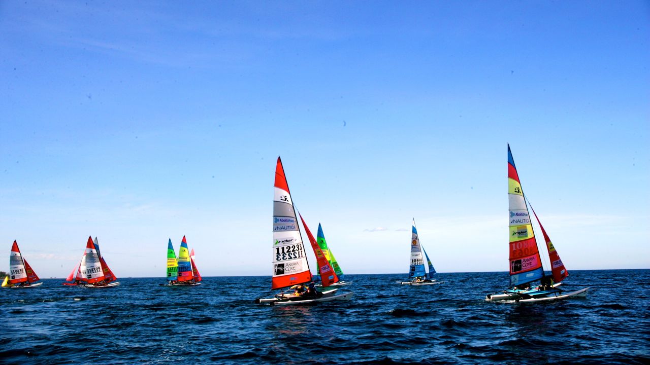 SIGHT TO BEHOLD. Hobie cats may be small, but together against the backdrop of blue skies and waters are an amazing sight