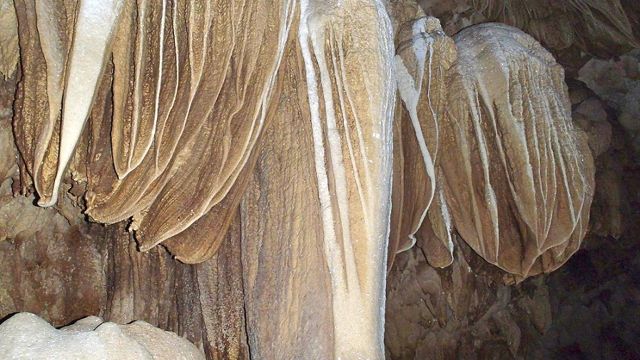 PRESERVATION EFFORTS. One of the formations in Lobo Cave is appropriately named 'Angel Wings.' Photo by Joni Bonifacio