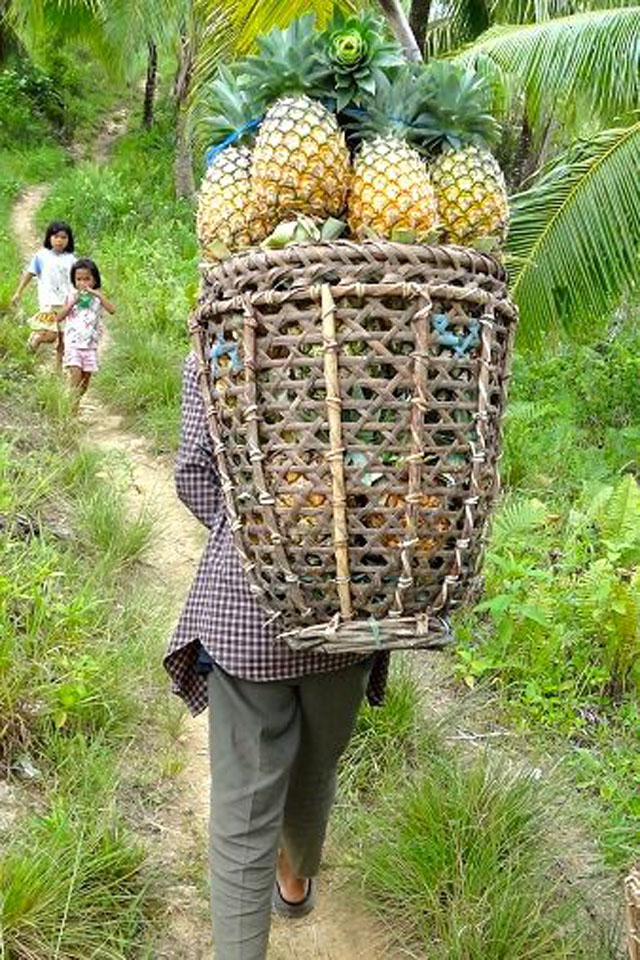 A JIABONG FARMER CARRIES the local pride on his back. Photo by Claire Madarang