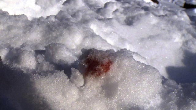 ACCIDENT SCENE. A screen grab made on January 3, 2014 and taken from an AFPTV video shot on December 31, 2013 shows the blood on the snow of German Formula One world champion Michael Schumacher at the off-piste location in the French ski resort of Meribel, French Alps, where he had a skiing accident and injured his head by hitting a rock. AFP / AFPTV / Guillaume Bonnet