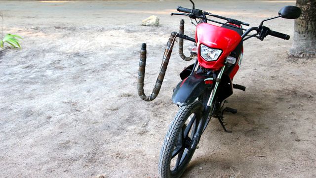 Customized motorbikes for surfers and their surfing boards