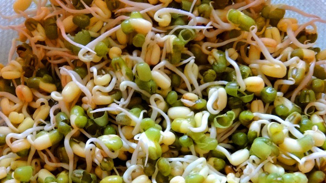 POTENT. Sprouts arguably have the most concentrated nutrients