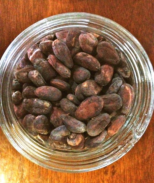 CACAO BEANS fermented and ready for roasting 