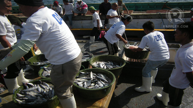 MORE FISH. Total fish landing at the country's biggest fishing complex increased by 23.7% in 2012. Photo by Edwin Espejo