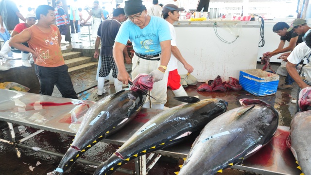 TUNA CAPITAL. The results of the 5-day meet are being anticipated even by members of the tuna industry in General Santos City, the country's tuna capital. Photo by Edwin Espejo