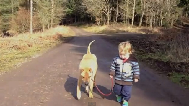 BEST FRIENDS. Our pets care for us, too. Watch how this sharpei lets a child play. Screen grab from YouTube (Julian Burett)