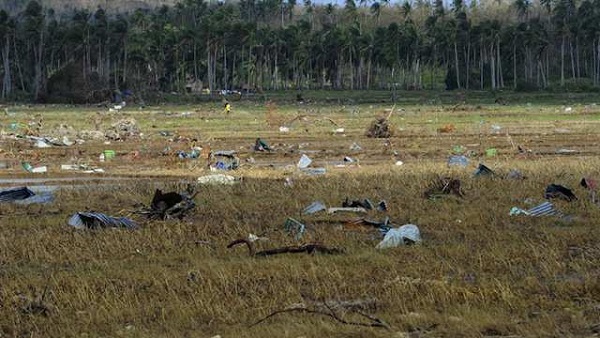 RAVAGED. Galvanized iron liters a rice field after it was blown off from houses at the height of Super Typhoon Haiyan in the town center of Hernani, Eastern Samar province in the central Philippines on November 18, 2013, over a week after the storm devastated the area. AFP PHOTO / TED ALJIBE