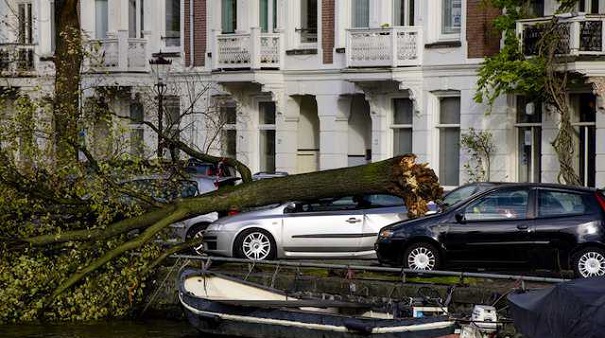 STORM CASUALTY. An uprooted tree has fallen on a car at the Ruysdaelkade canal in Amsterdam, The Netherlands, 28 October 2013. According to reports, a woman was killed by the fallen tree. EPA/Robin Van Lonkhuijsen