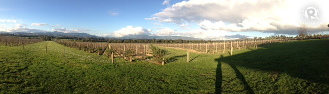 PICTURE PERFECT. The hills and vineyards in the Yarra Valley just an hour outside of Melbourne