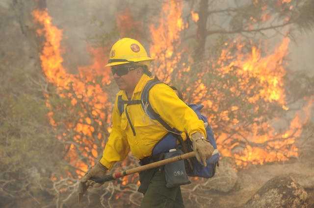 YOSEMITE FIRE. A firefighter battles the Rim Fire in Yosemite National Park, California, USA, 24 August 2013. EPA/Noah Berger