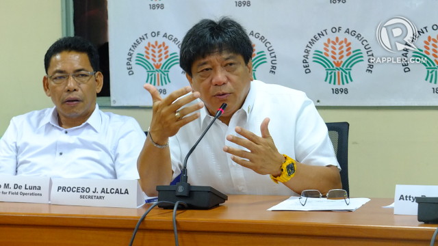 DEFENSE. Department of Agriculture Secretary Proceso Alcala says he has never had dealings with alleged pork barrel mastermind Janet Lim Napoles, whether as congressman for the second district of Quezon or as DA chief. Photo by Pia Ranada/Rappler