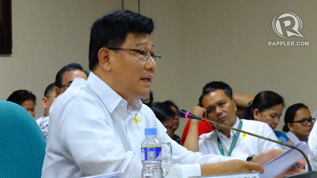 QUESTIONED. DENR Secretary Ramon Paje responds to questions from senators about his department's implementation of the government's reforestation program. Photo by Pia Ranada/Rappler
