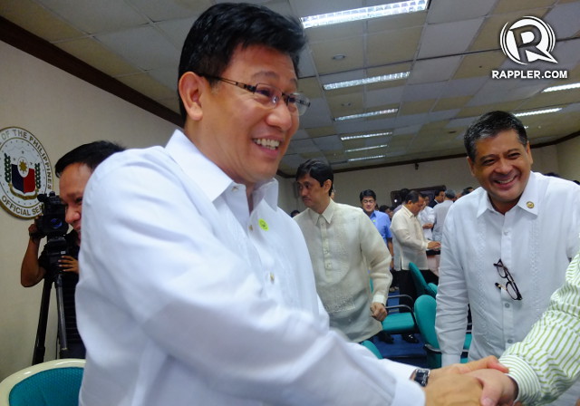 LONG WAIT. The Commission on Appointments panel recommends DENR Secretary Ramon Paje for confirmation on June 10, 2014. Photo by Pia Ranada/Rappler