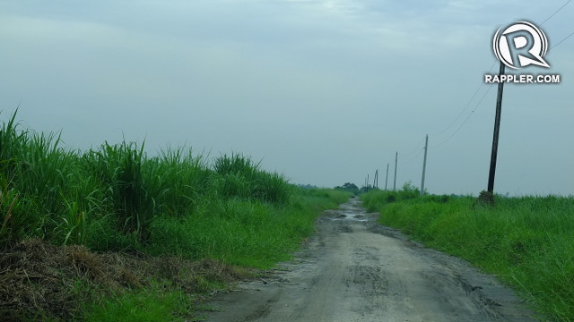 BUMPY ROAD AHEAD. Roads through Hacienda Luisita are rutted and muddy, making it difficult for farmers to get around
