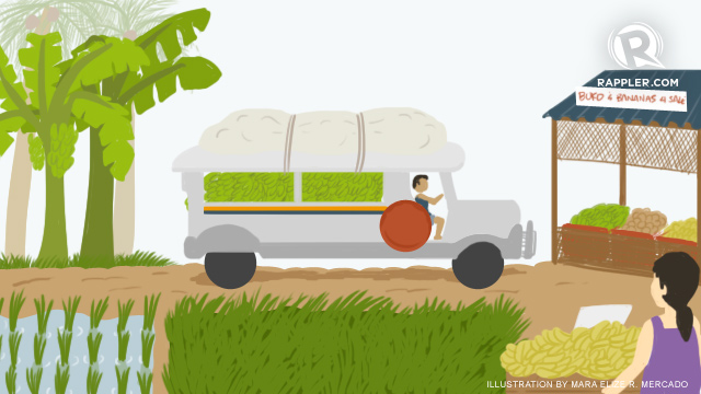FARM-TO-MARKET ROADS. FMRs play a significant role in the livelihood and  food security of farmers and the entire country's rural economy. Graphic by Mara Elize Mercado/Rappler