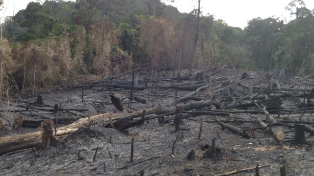 BLACKENED. Forest fires like this photographed in April 2014 are often used for charcoal-making or to clear away land for farming. Photo from Brother Martin Francisco