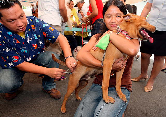 VACCINATE DOGS. In this file photo, a Filipino holds her pet as the dog receives free vaccination shots in Makati City, Philippines. File photo by Rolex Dela Pena/EPA